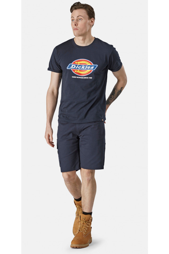 DENISON men's t-shirt (DT6010)