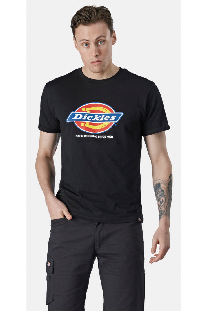 DENISON men's t-shirt (DT6010)