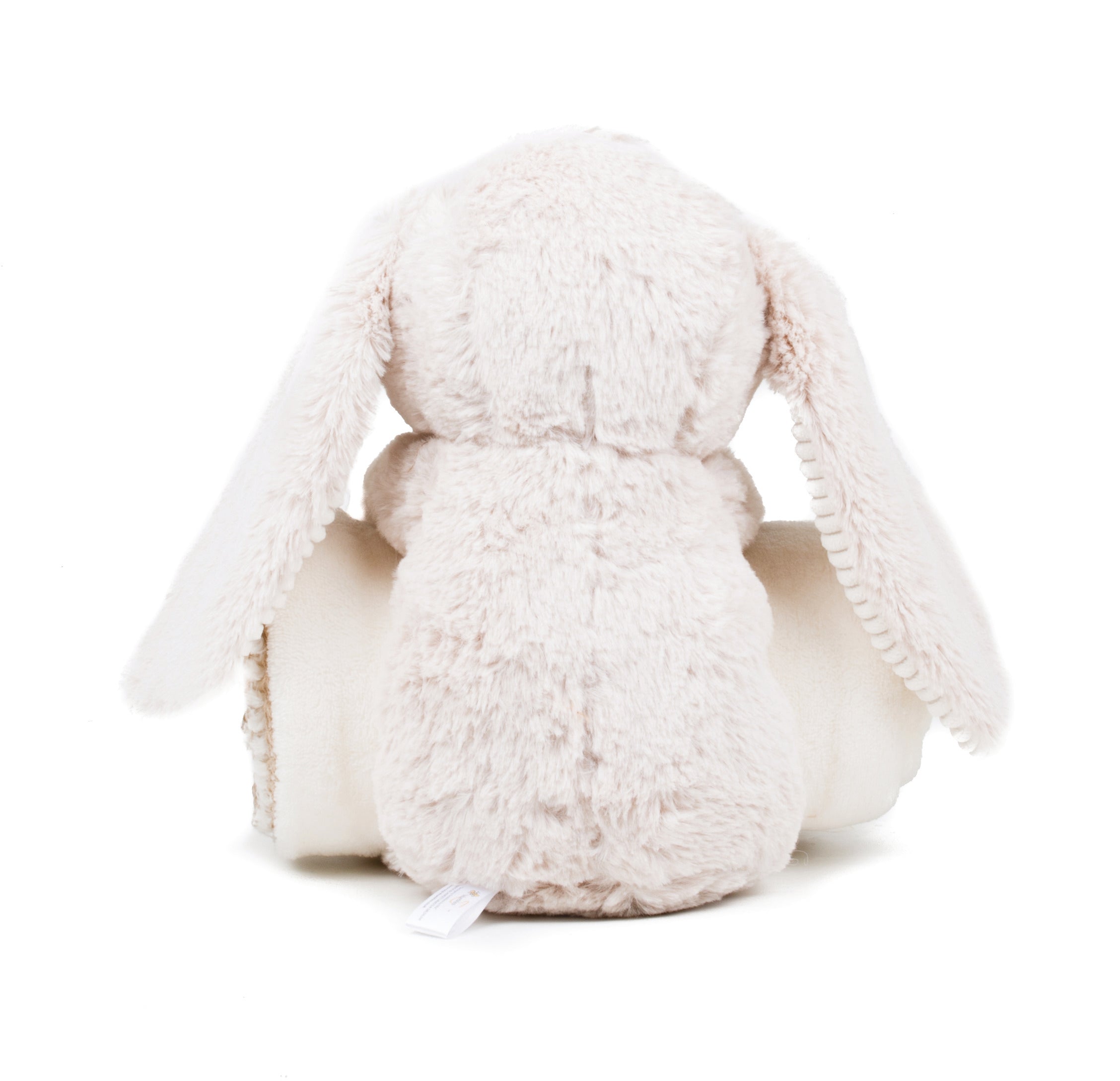 Peluche Lapin & couverture