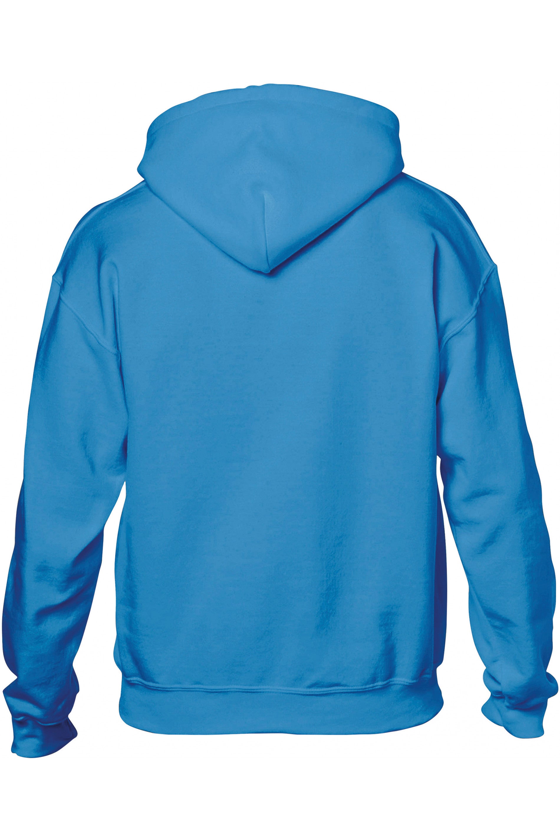 SWEAT-SHIRT CAPUCHE HEAVY BLEND™