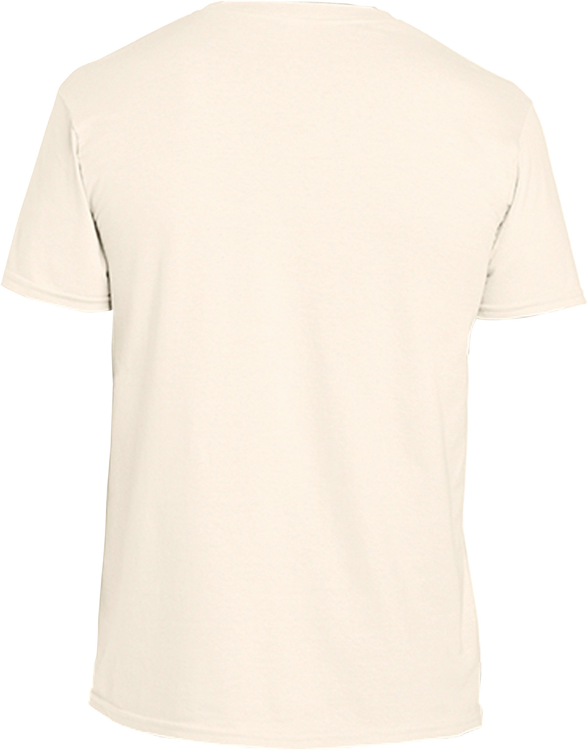 T-SHIRT HOMME COL ROND SOFTSTYLE