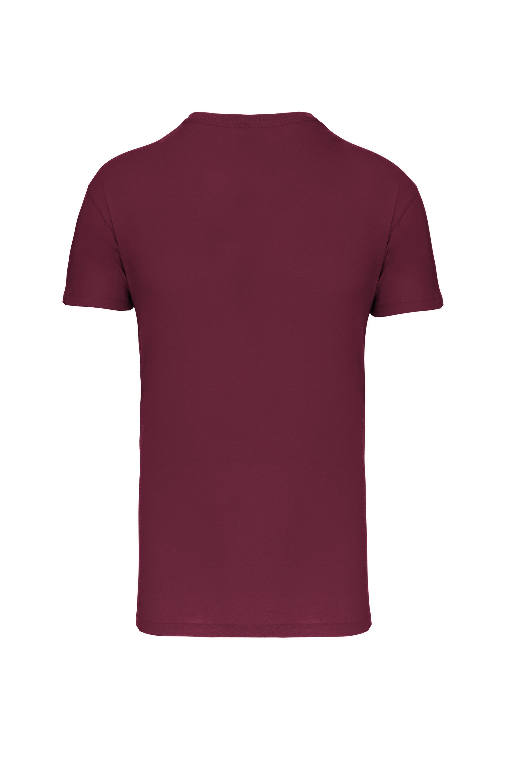 Men's Bio150IC V-neck T-shirt