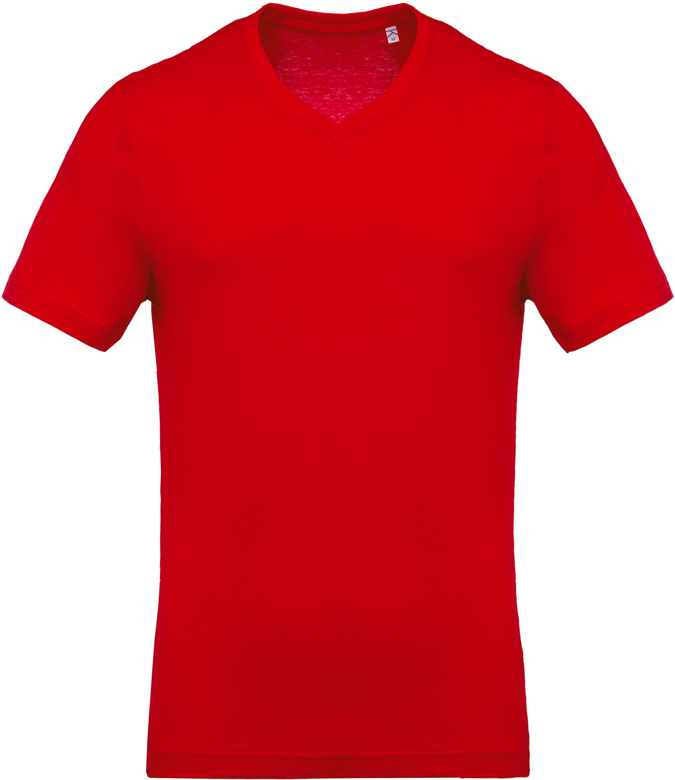 Heren T-shirt met V-hals en korte mouwen