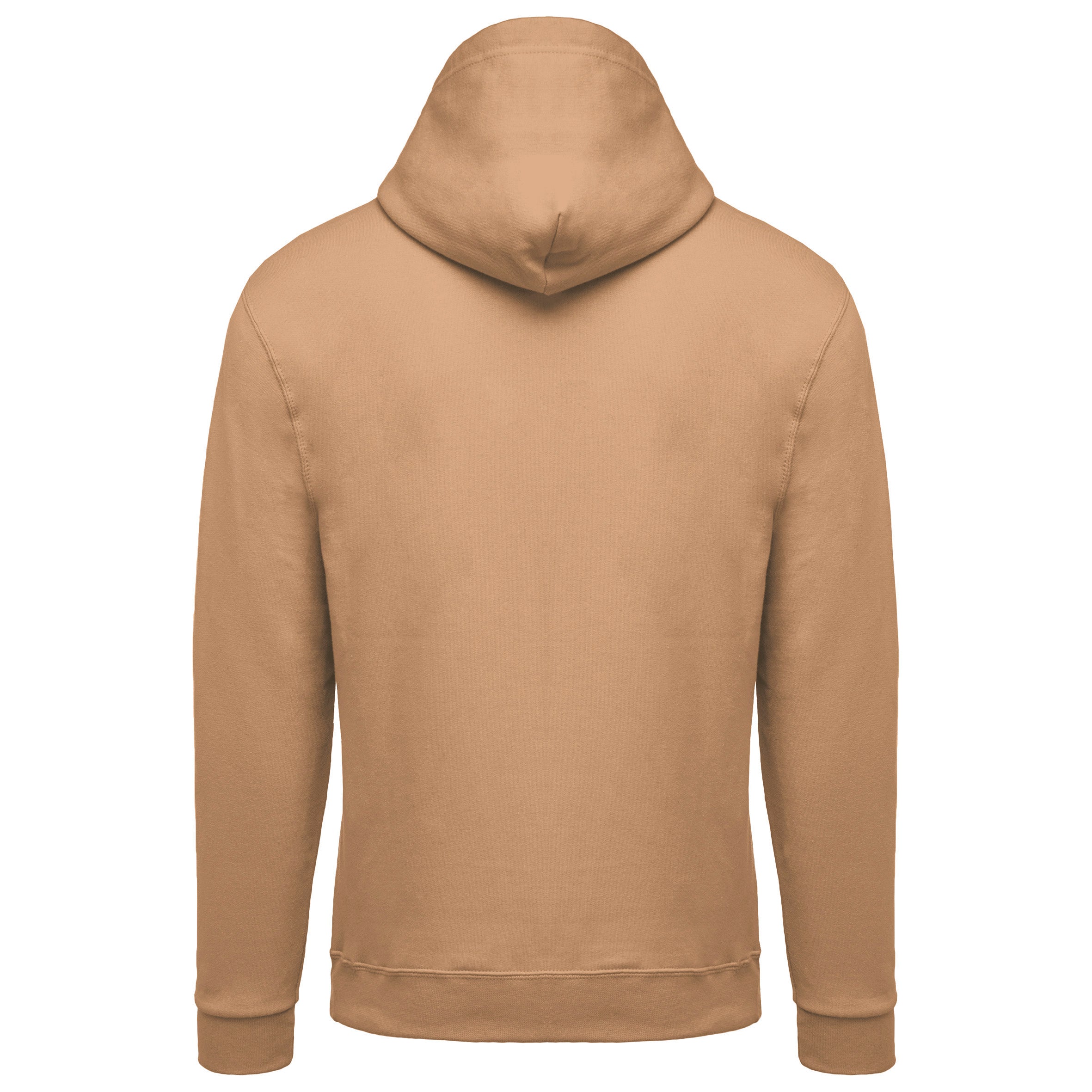 Sweat-shirt capuche homme IV