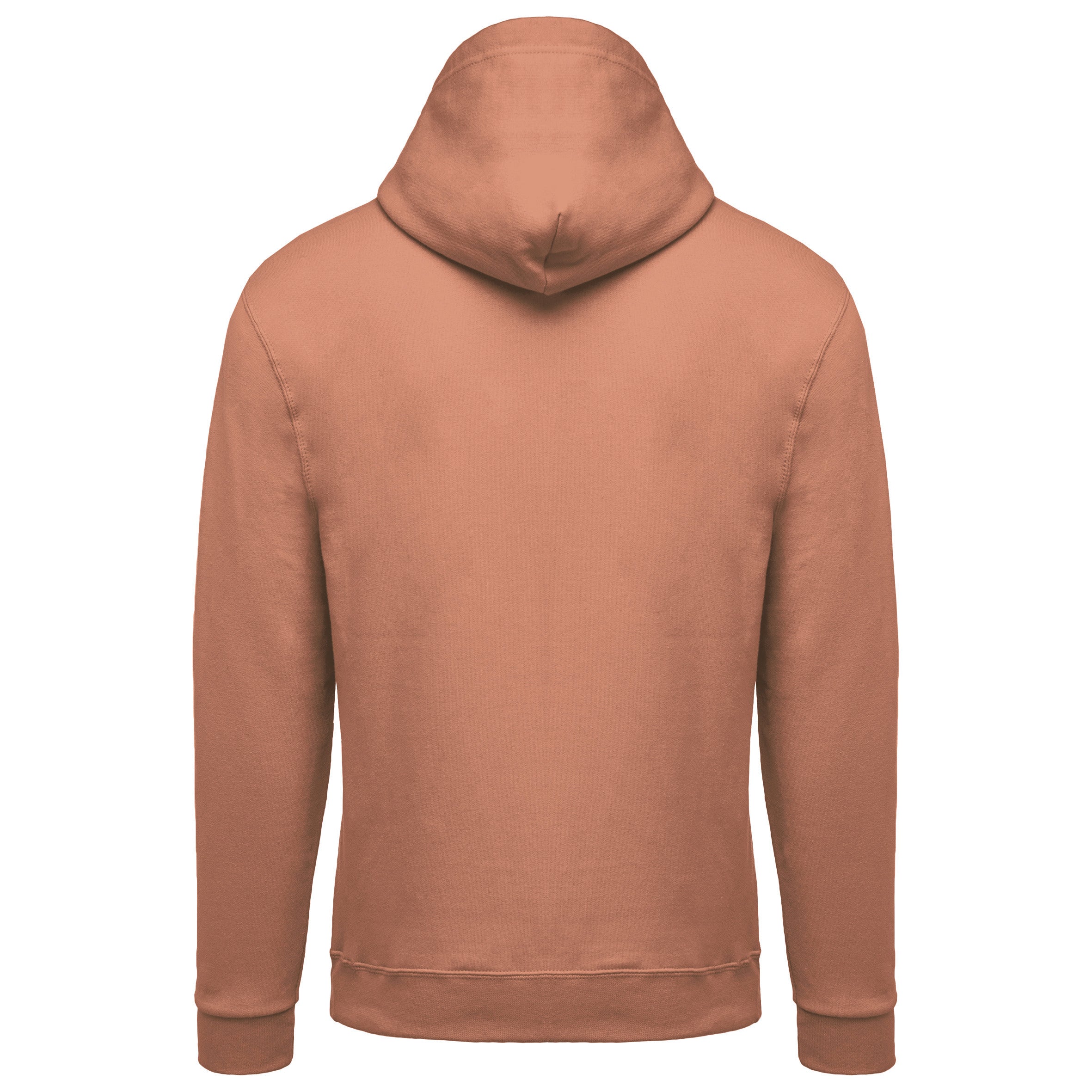 Sweat-shirt capuche homme II