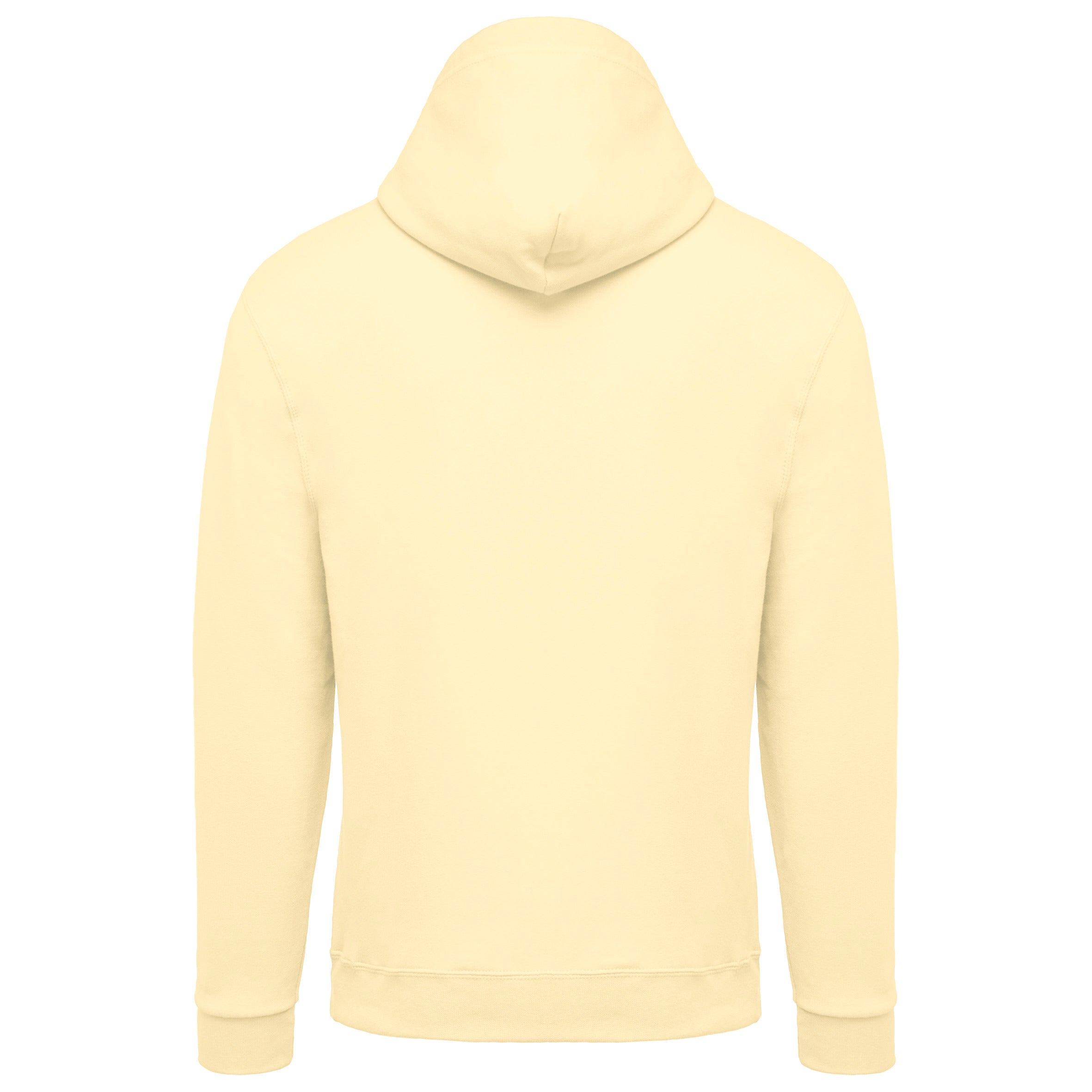 Sweat-shirt capuche homme IV