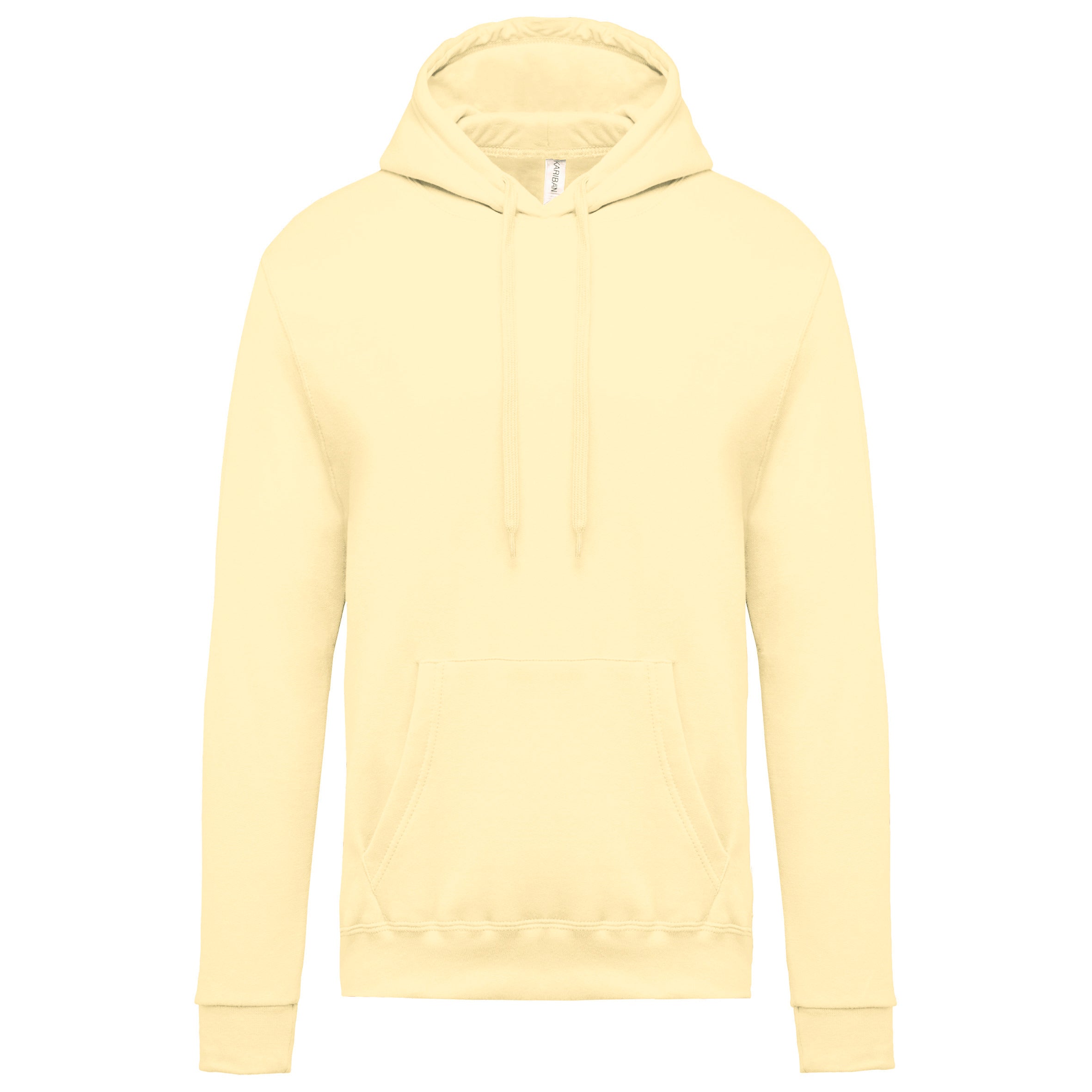 Sweat-shirt capuche homme IV