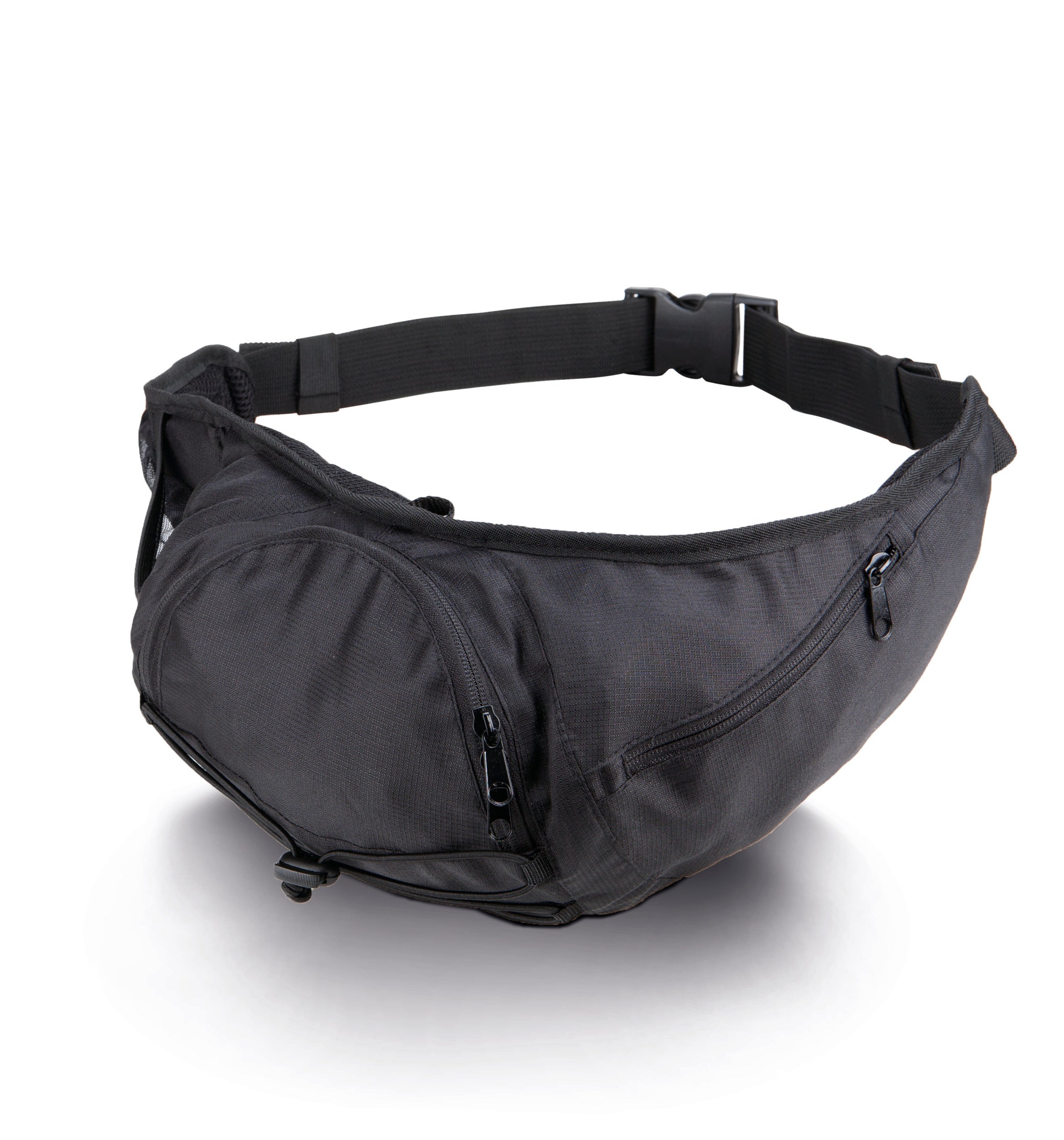 Belt / fanny pack