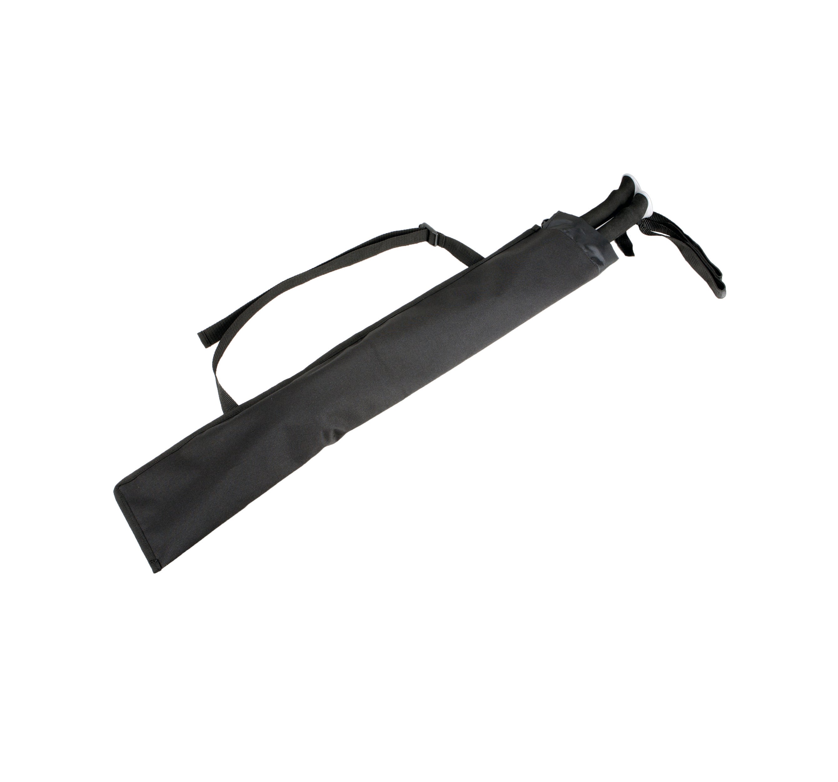 Carrying case for trekking poles