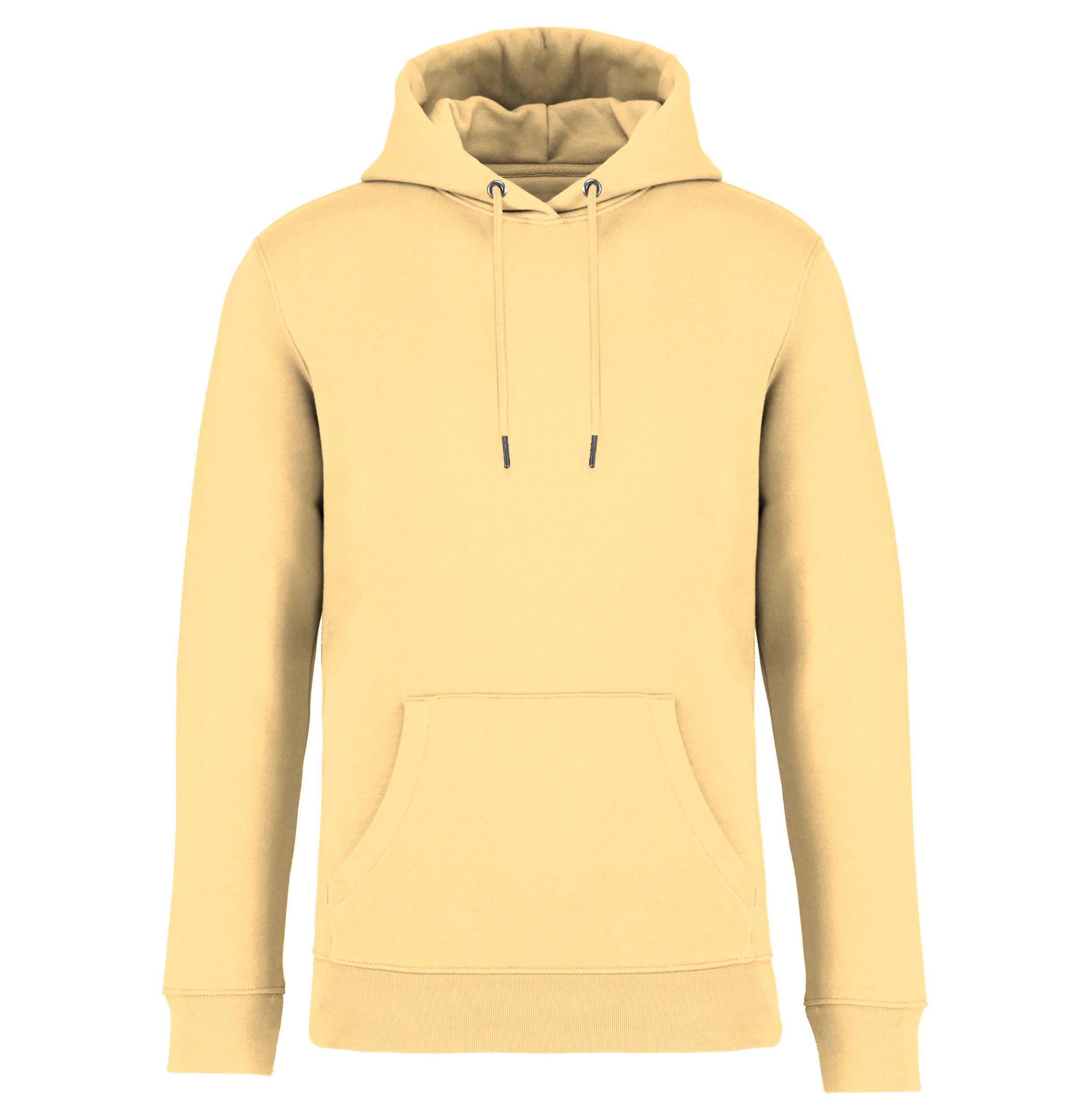 Sweat-shirt à capuche unisexe - 350g II