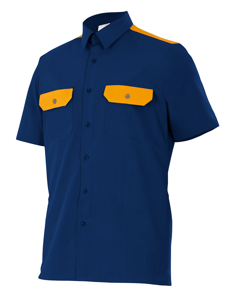 CHEMISE MC BLUE ROI