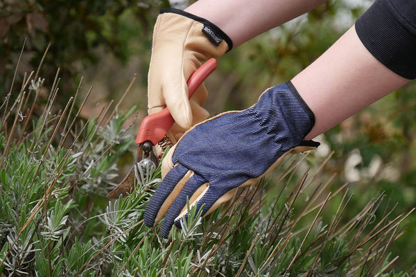 Klassieke Canadese Docker-handschoen