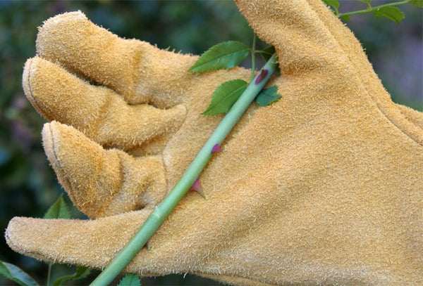 Classic Canadian Docker Glove