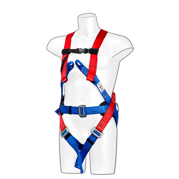 3-point comfort harness