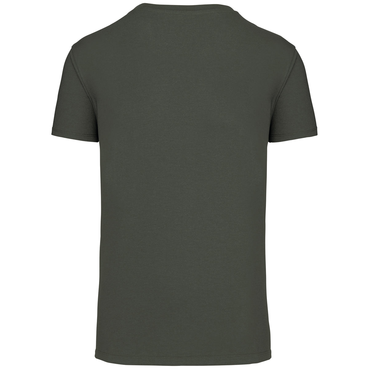 T-shirt Bio150IC col rond homme