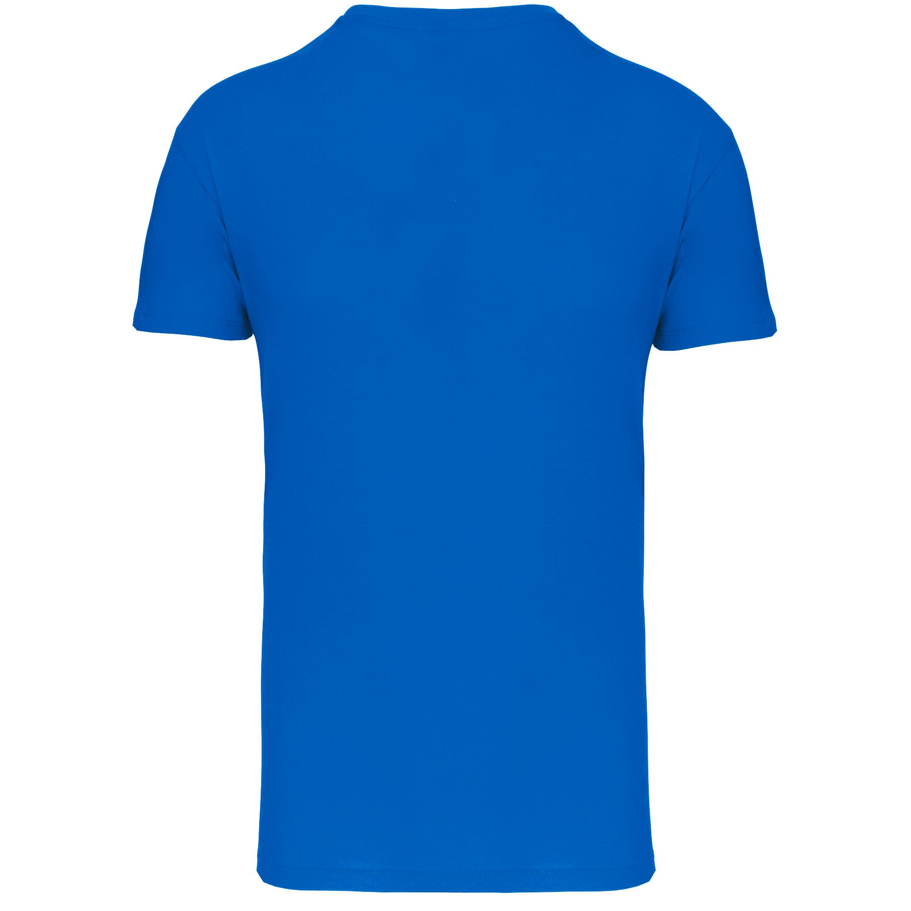 Men's Bio150IC round neck t-shirt