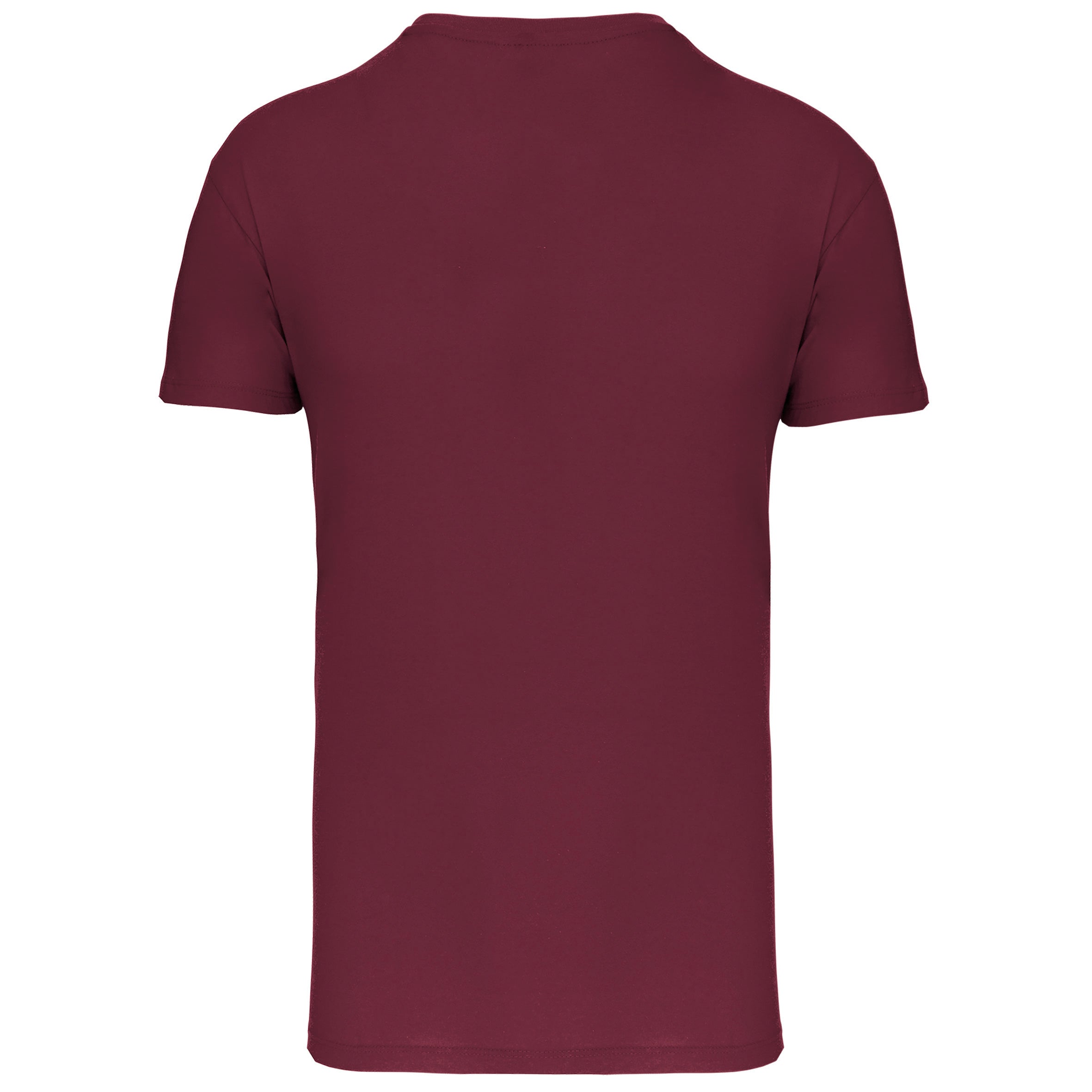 Men's Bio150IC round neck t-shirt