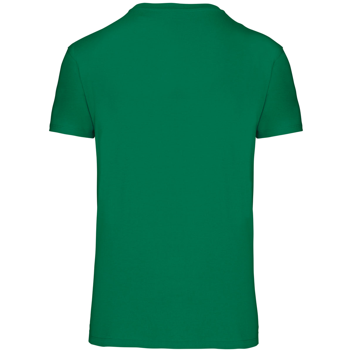 T-shirt Bio150IC col rond enfant