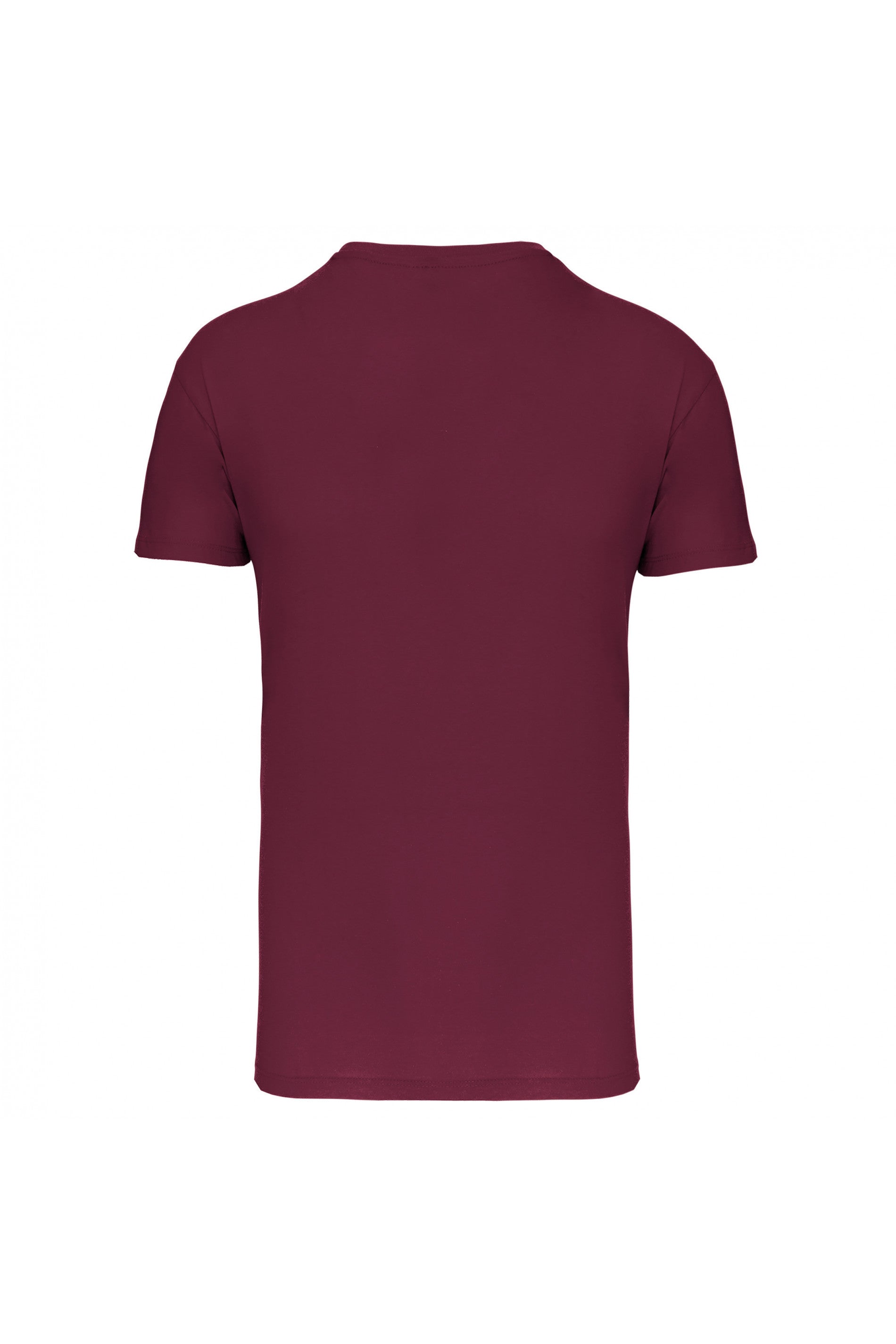 T-shirt Bio150IC col V homme