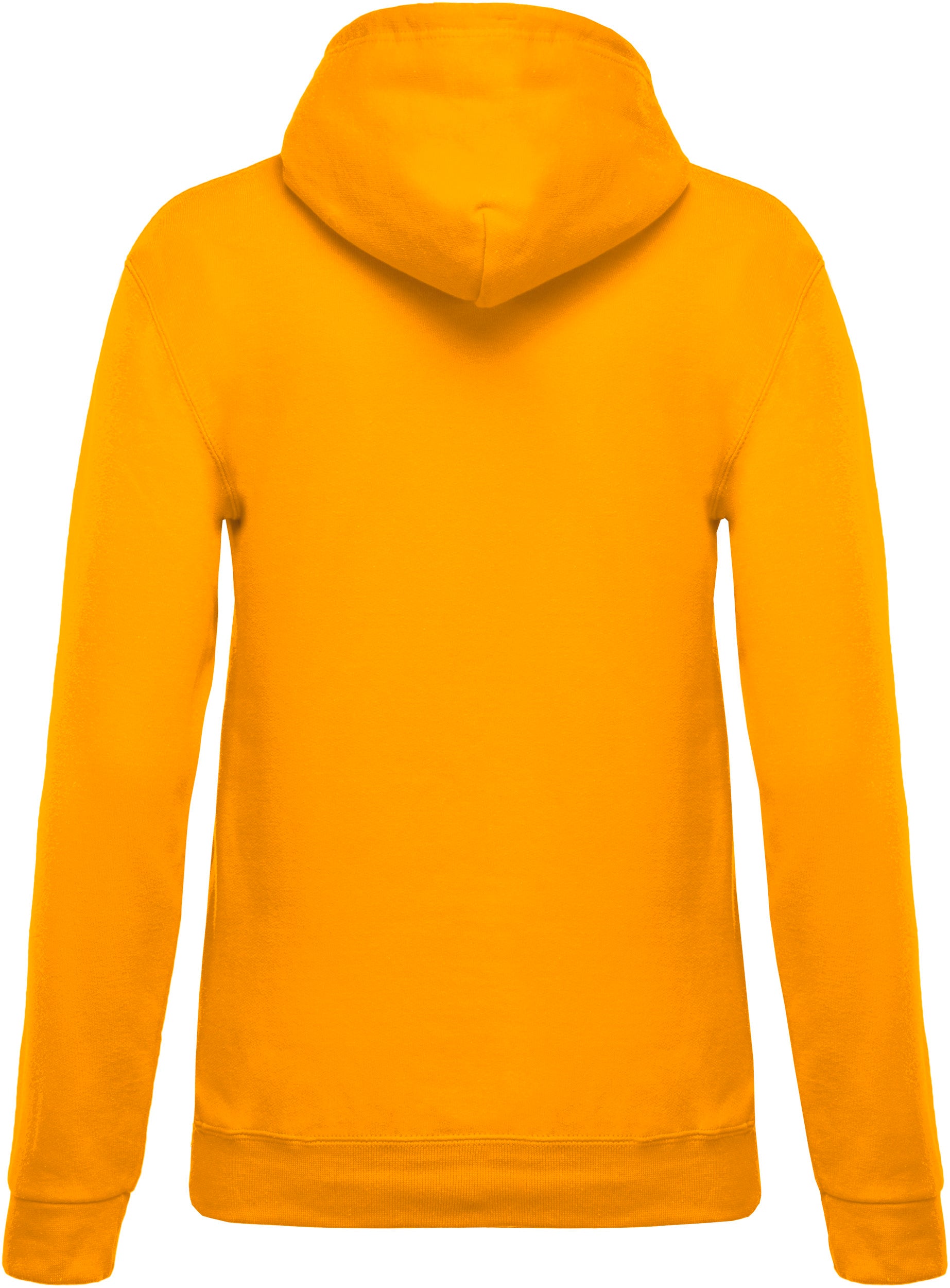 Sweat-shirt capuche femme