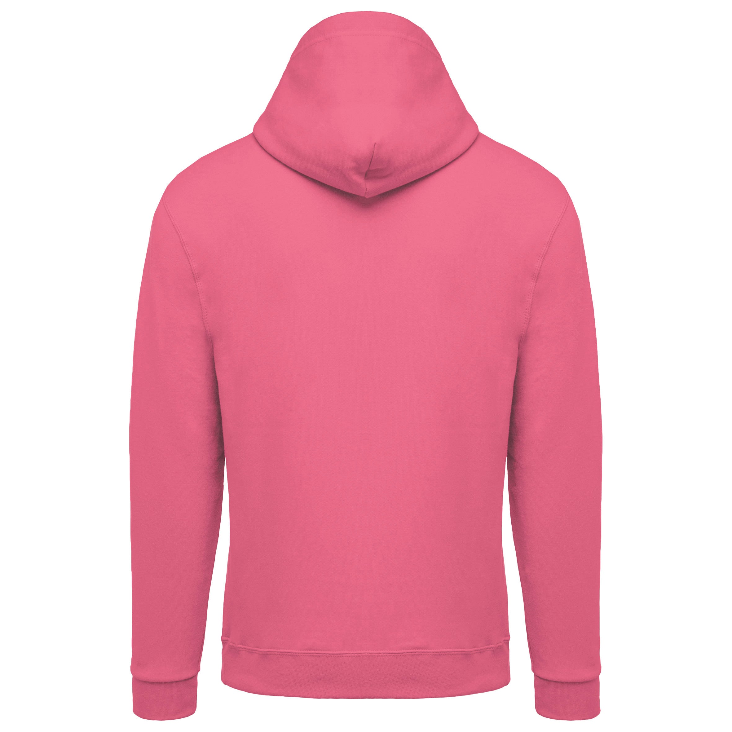 Sweat-shirt capuche homme IV