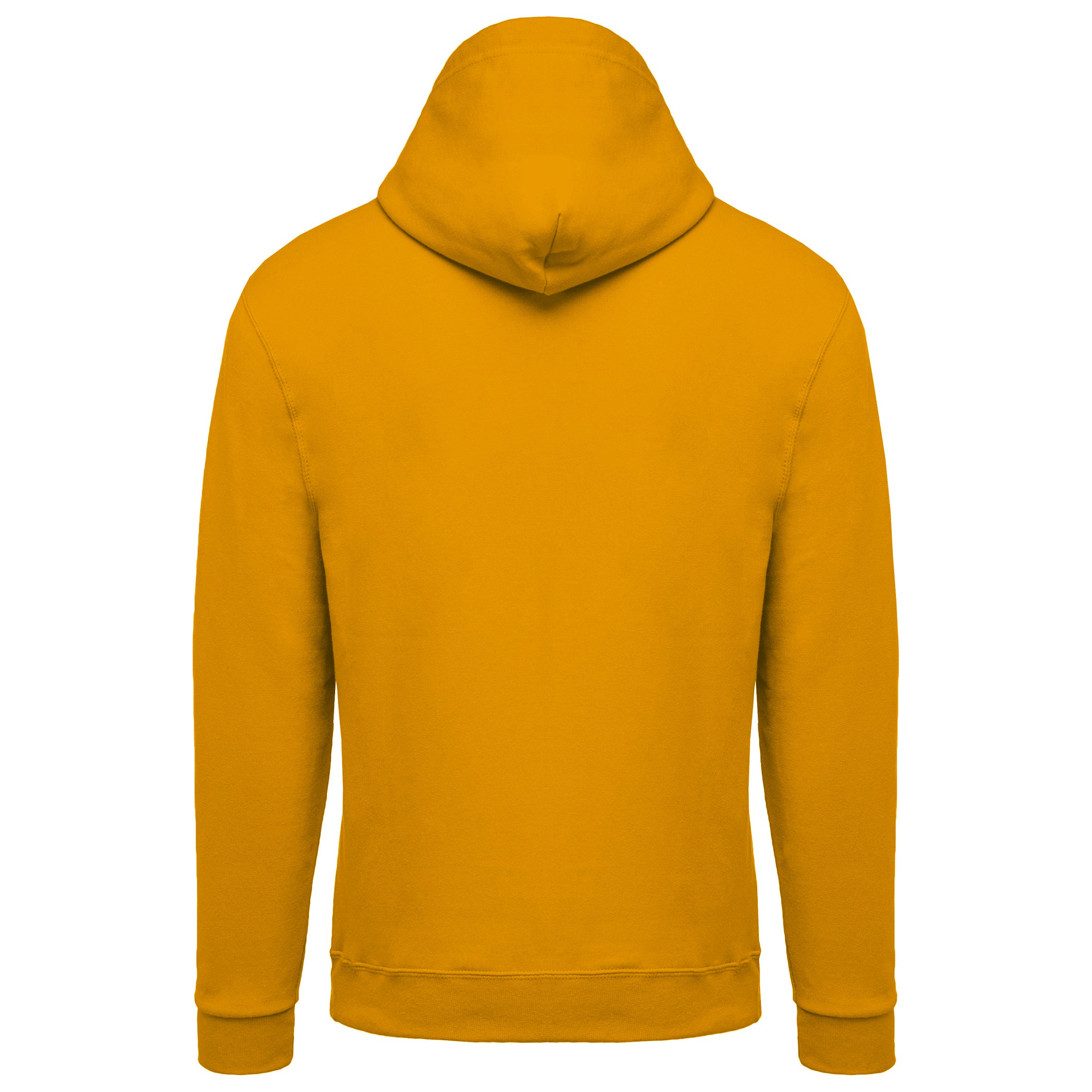 Sweat-shirt capuche homme II