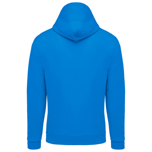 Sweat-shirt capuche homme II