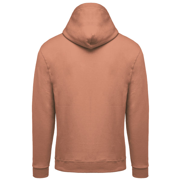 Sweat-shirt capuche homme II