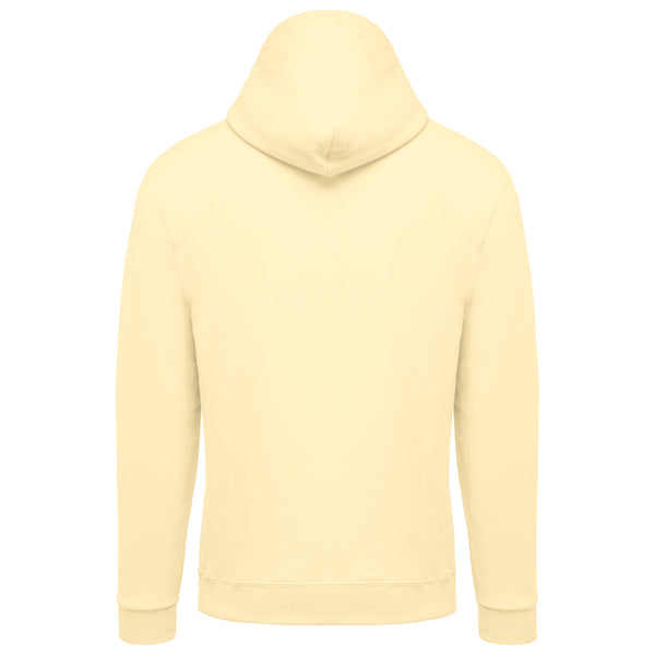 Sweat-shirt capuche homme IV