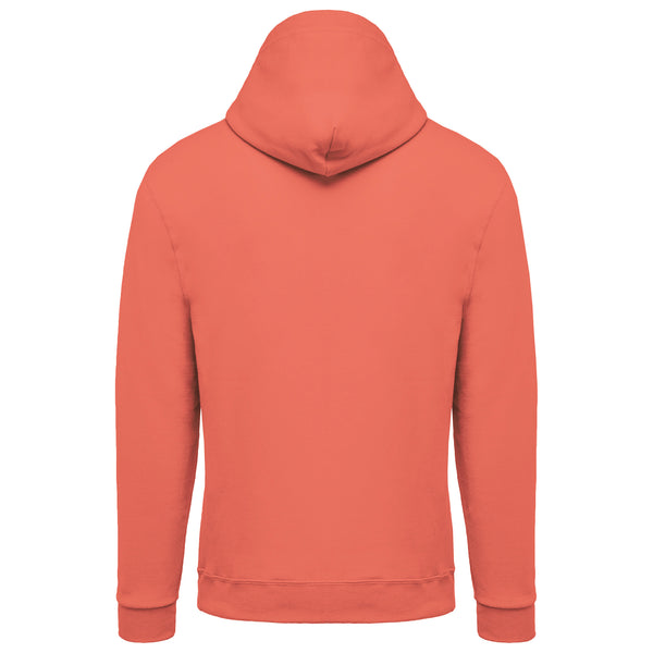 Sweat-shirt capuche homme II