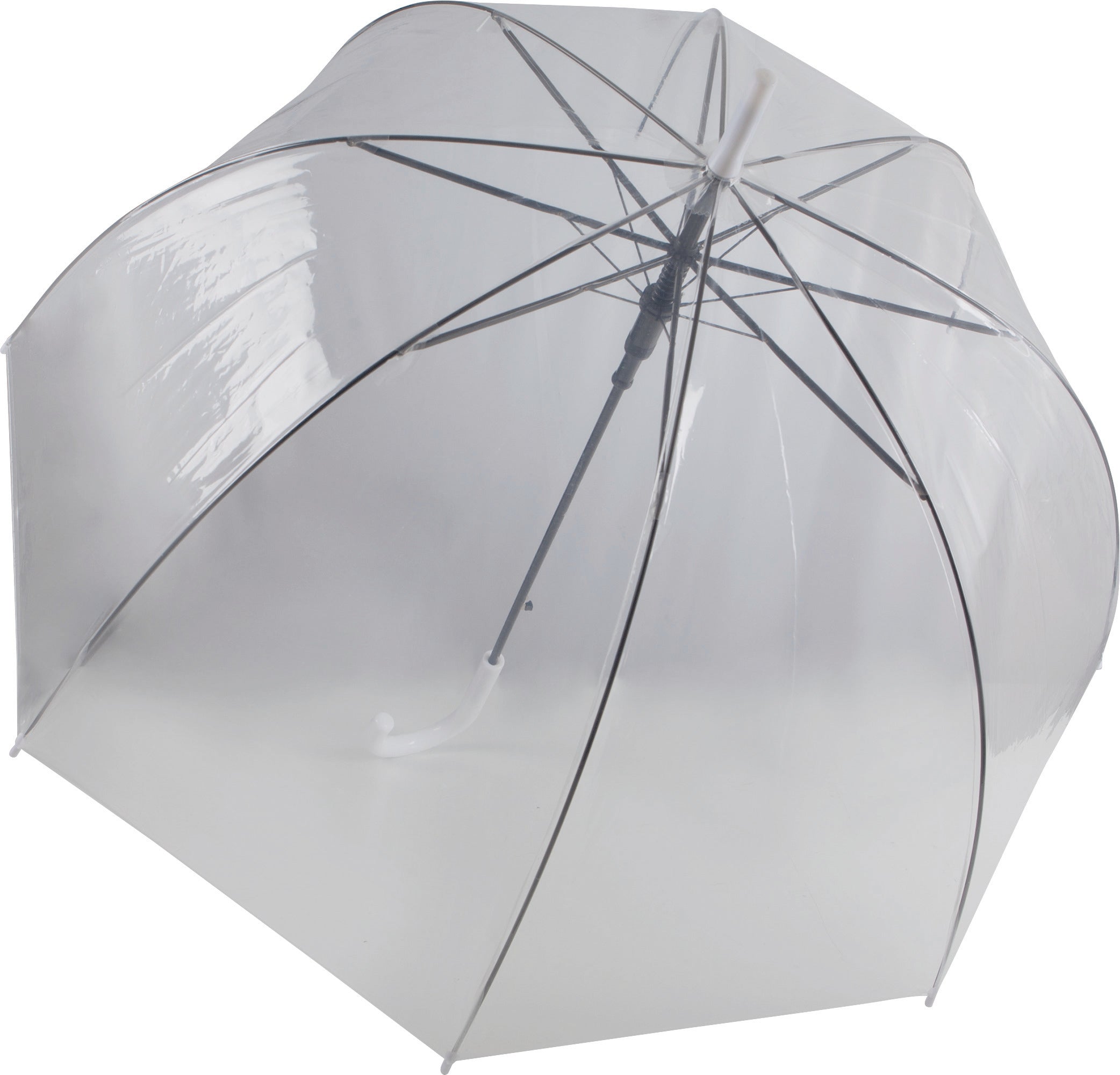 clear umbrella