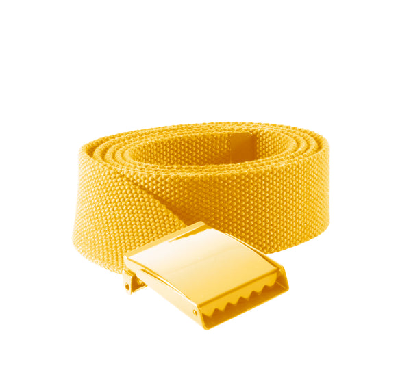 Polyester belt