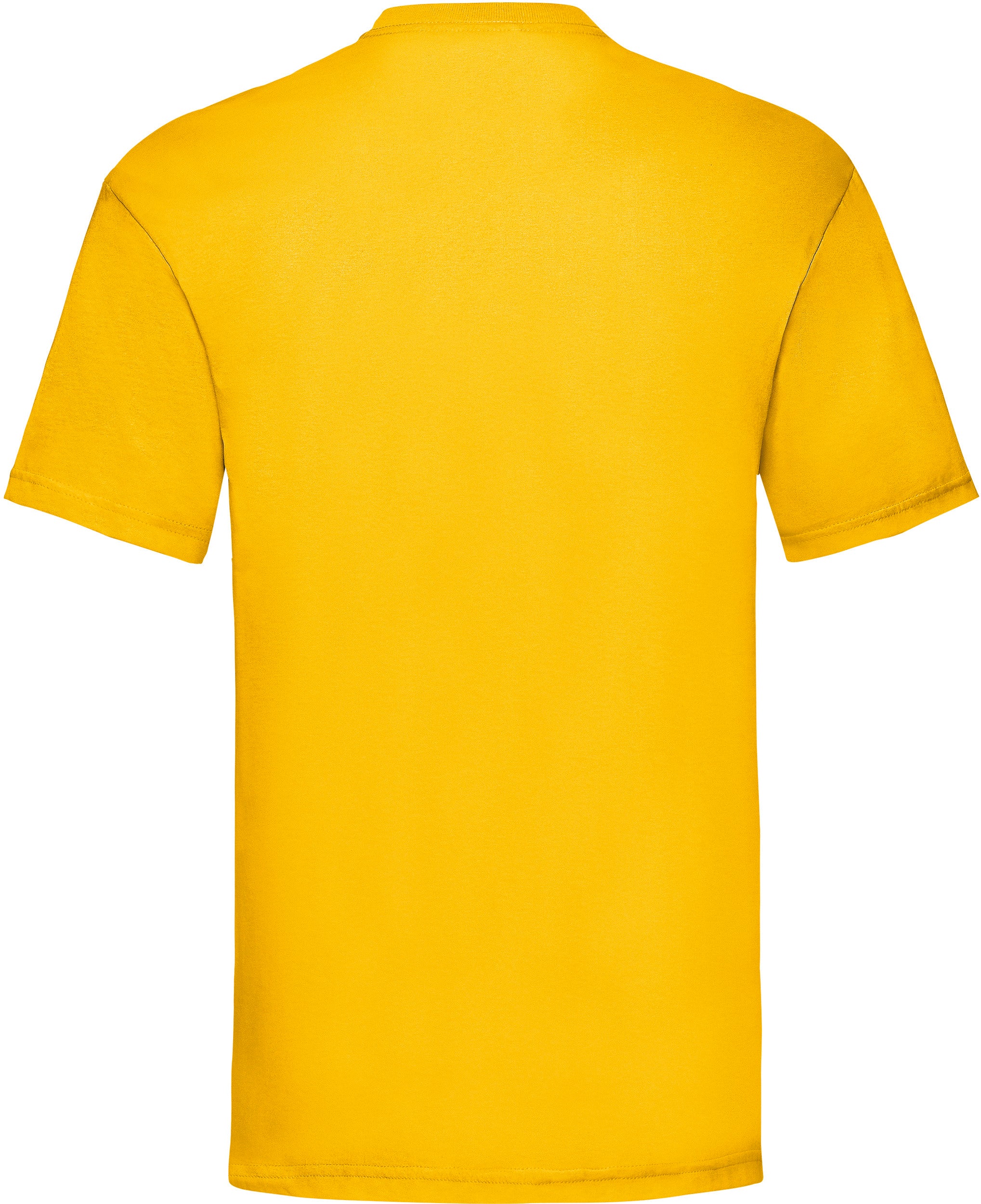 T-SHIRT HOMME VALUEWEIGHT (61-036-0)