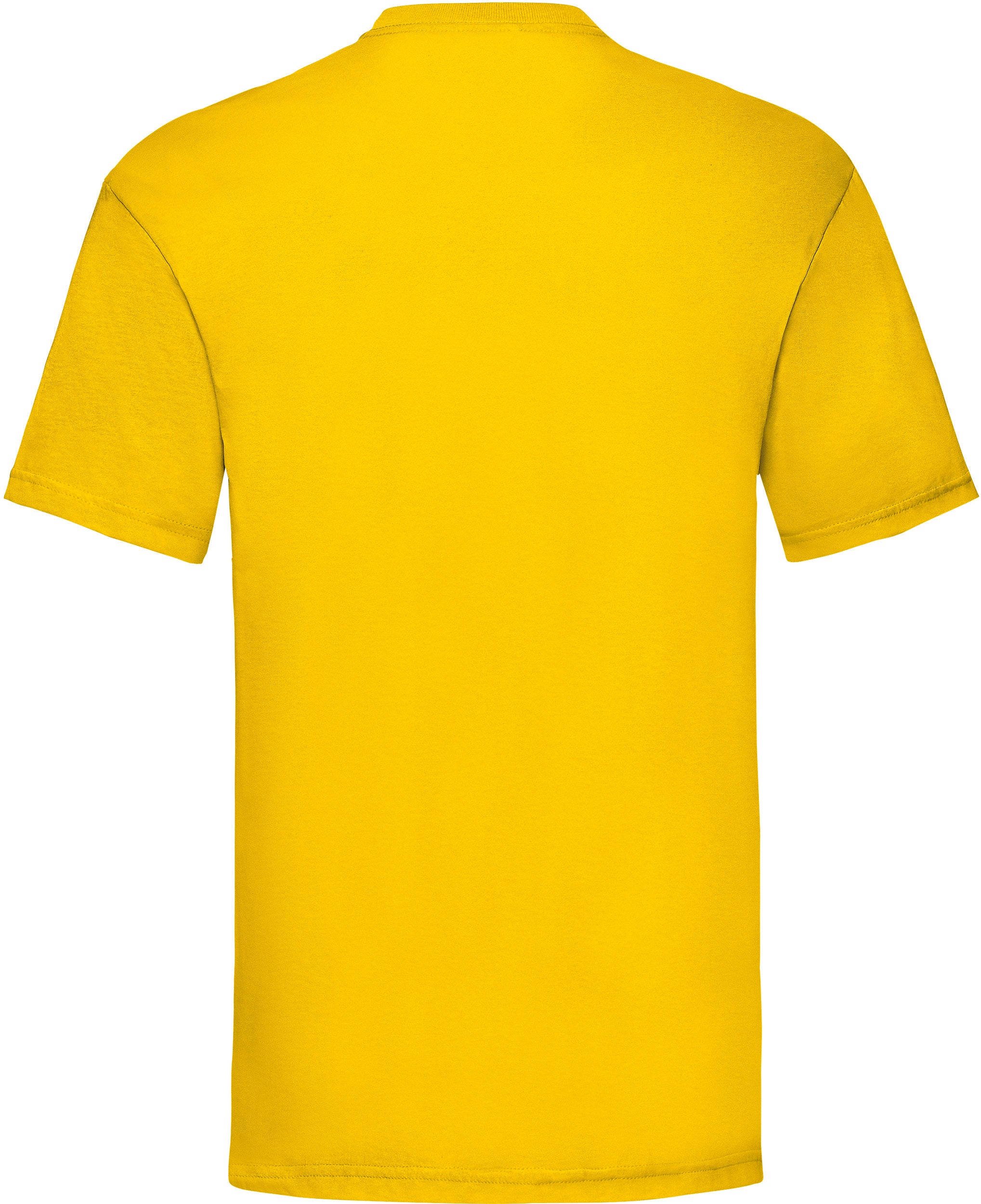 T-SHIRT HOMME VALUEWEIGHT (61-036-0)