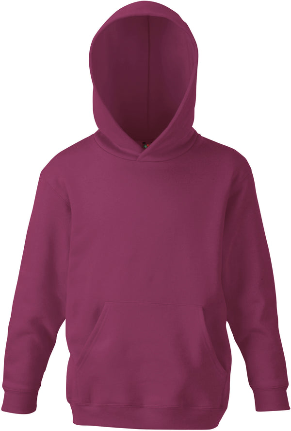 KIDS CLASSIC HOODED SWEATSHIRT (62-043-0)