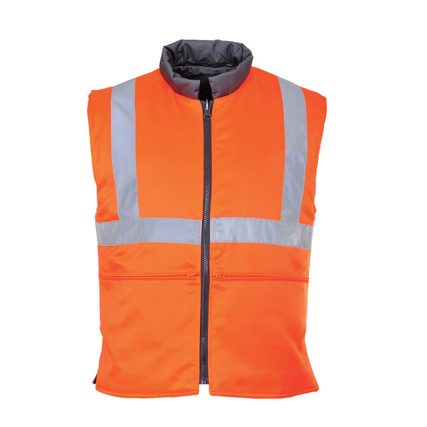 Reversible cold vest RIS