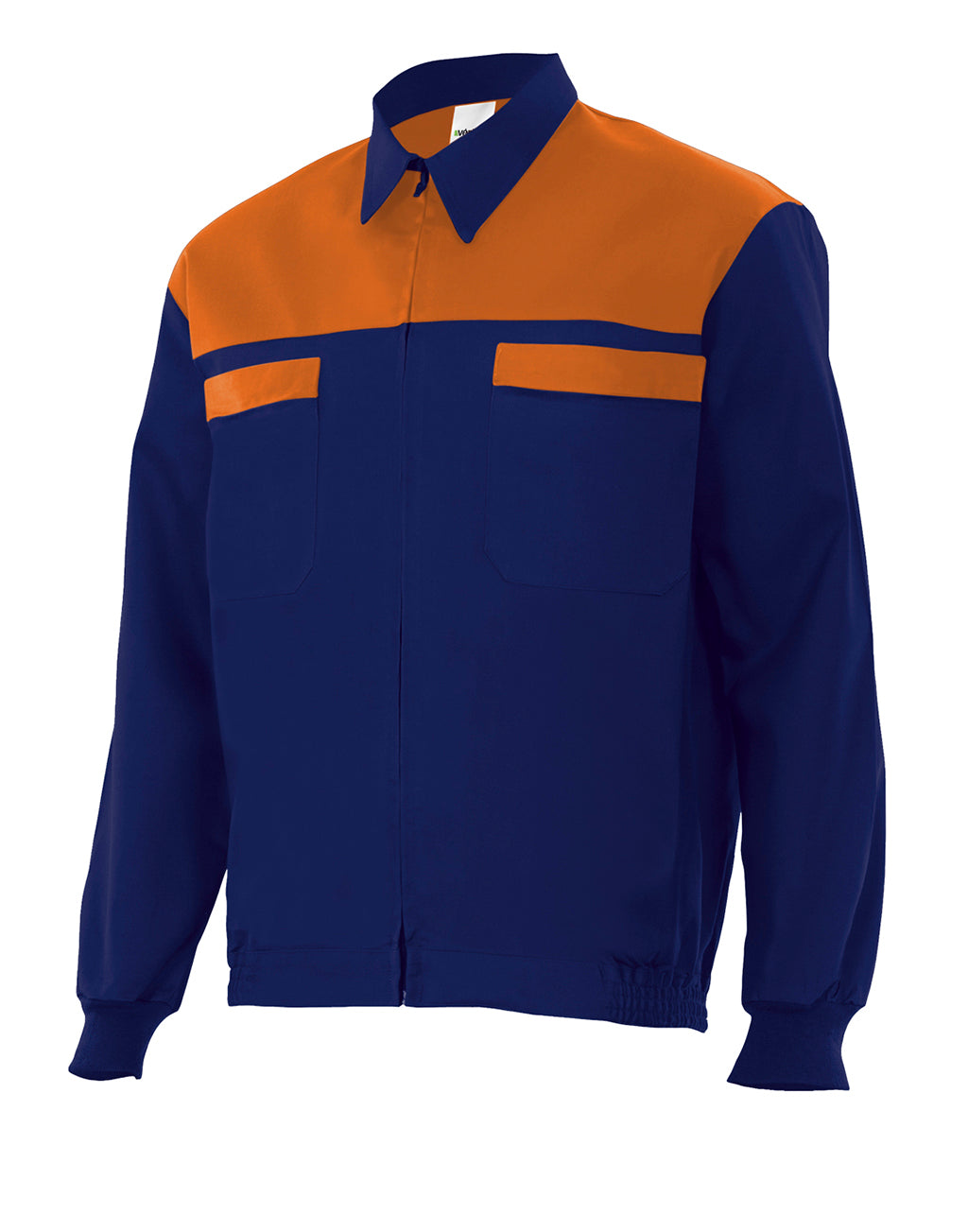 BLUE KING JACKET